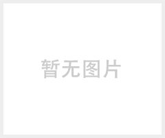 A-350盒式包装机/气调包装机.
